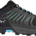 Inov-8 ROCLITE 315 GTX W 38