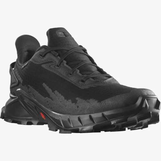 Pánské běžecké boty Salomon Alphacross 4 Gore-Tex Velikost bot (EU): 42 / Barva: černá