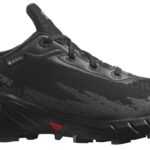 Salomon Alphacross 4 GTX W 36 2/3 EUR