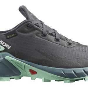 Salomon Alphacross 4 GTX W 38 EUR