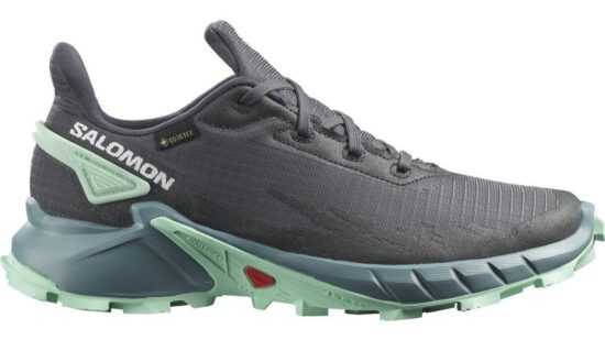 Salomon Alphacross 4 GTX W 38 EUR