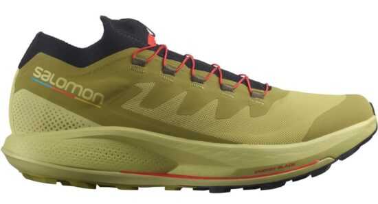 Salomon Pulsar Trail Pro M 46 EUR