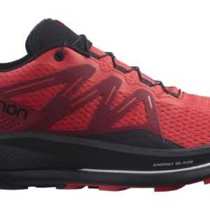 Salomon Pulsar Trail M 43 1/3 EUR